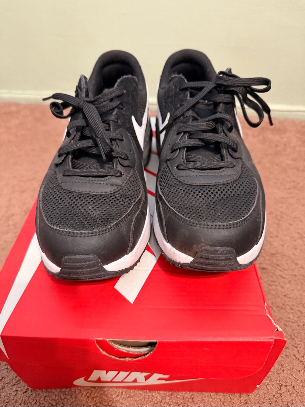 Nike Women’s Black and White Athletic Sneakers